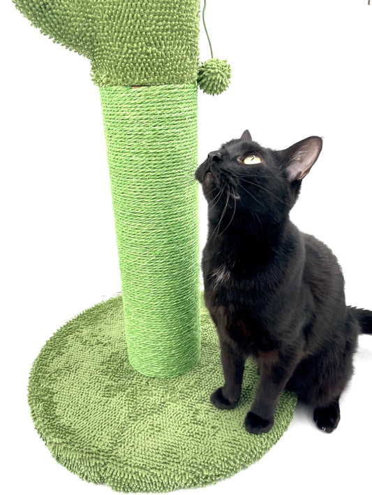 frisco cactus cat scratching post