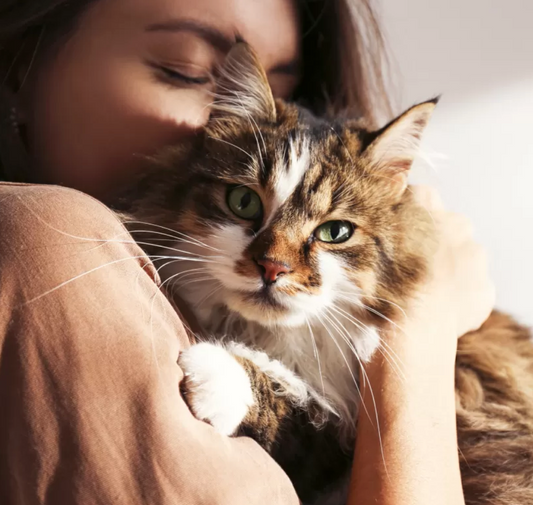 How to pick up a cat (Pics included)