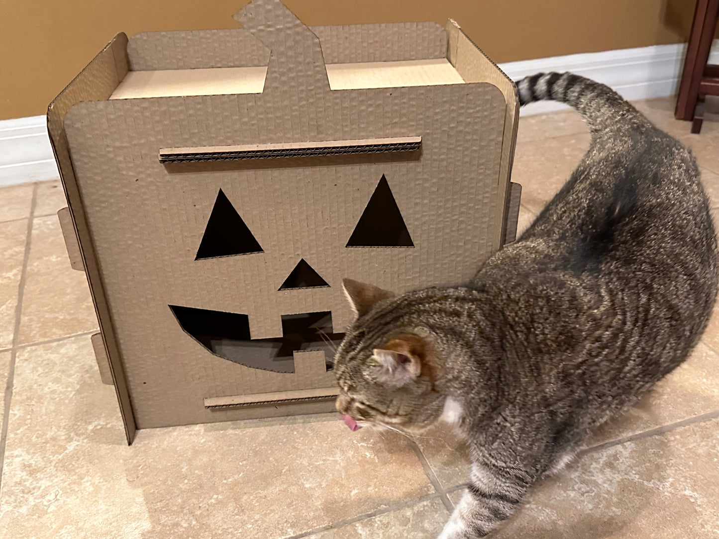Jack-O'-Lantern Cat House