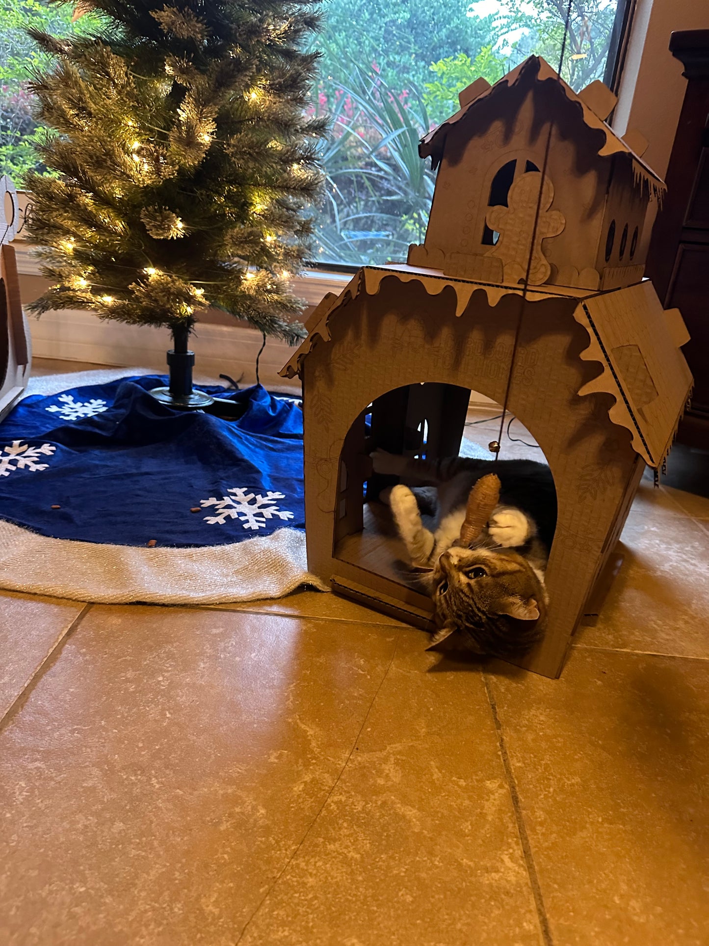 Cat Teaser Toy