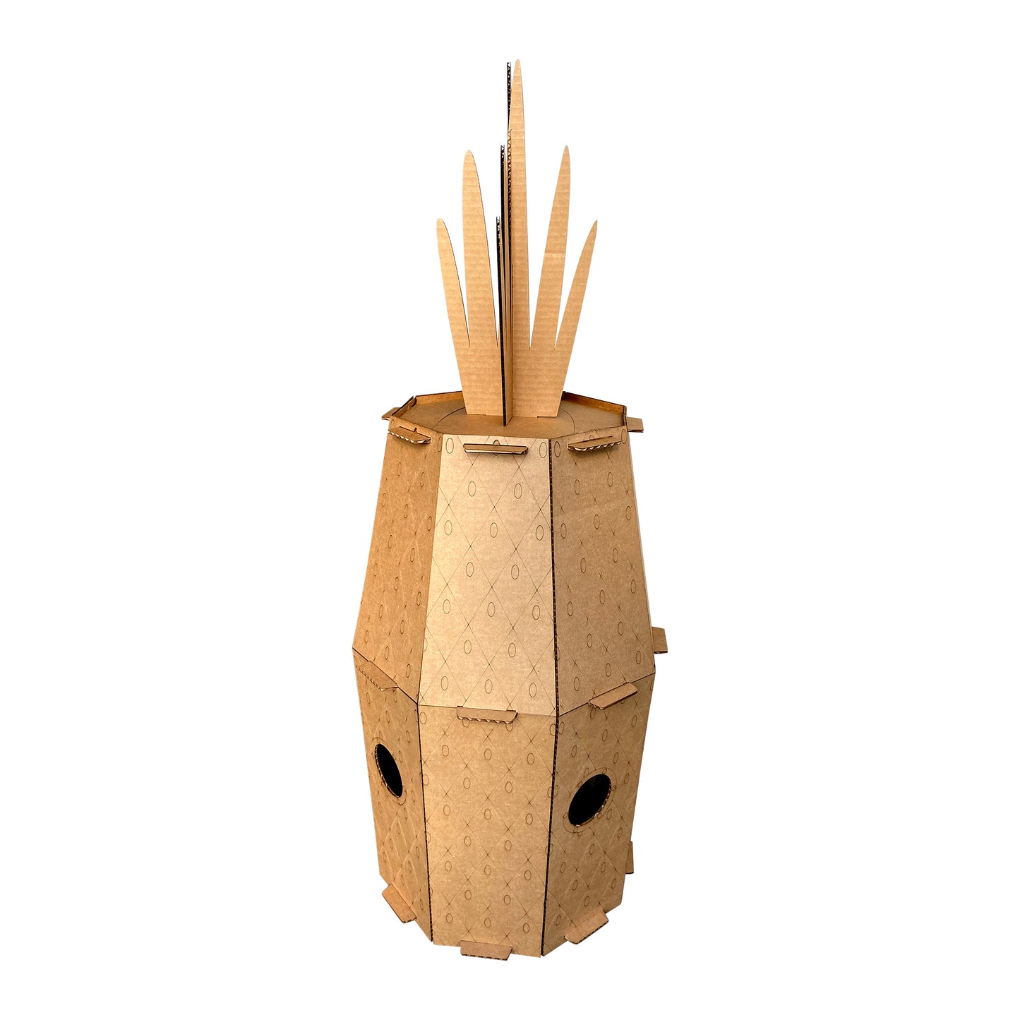 Pineapple Cat House