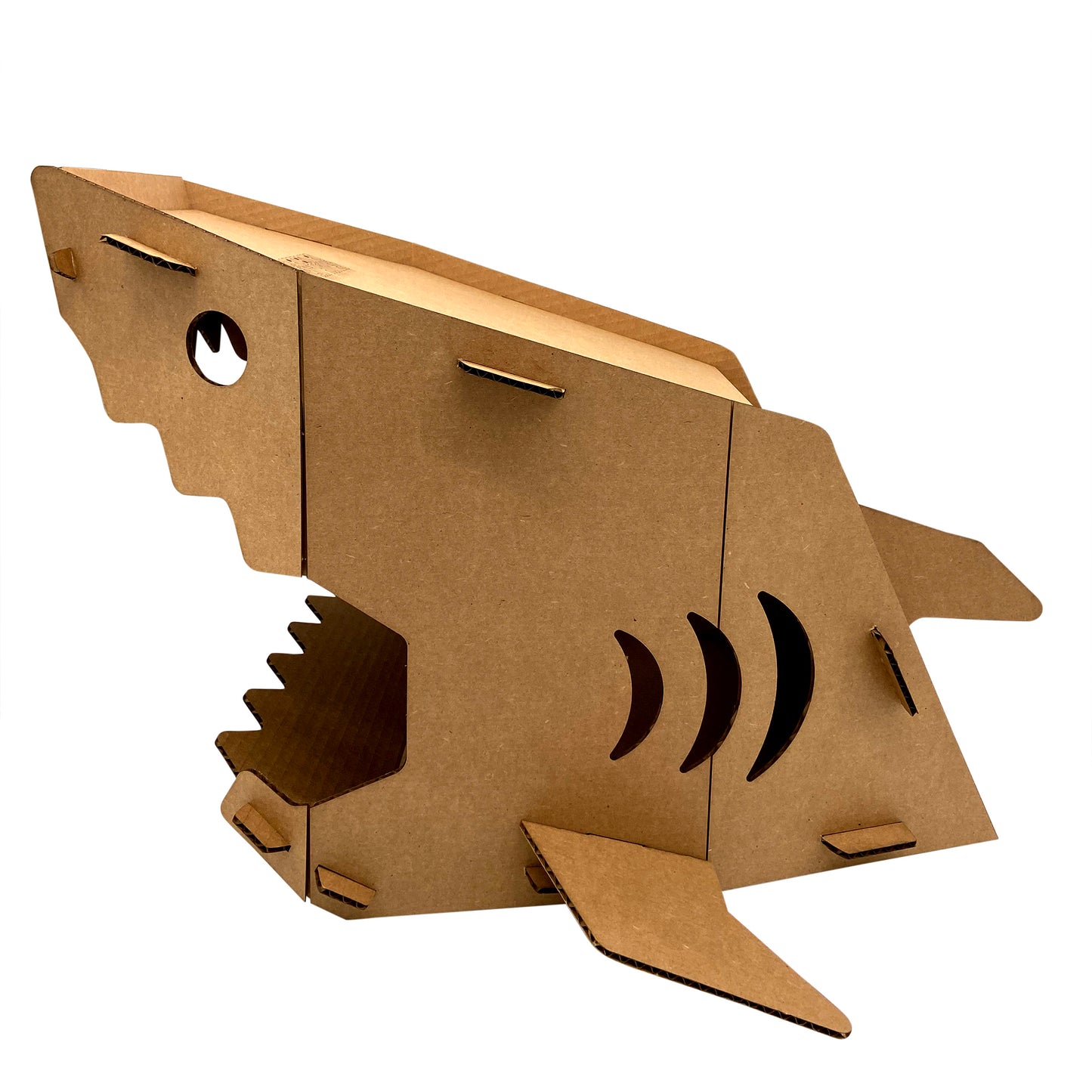 Shark Cat House