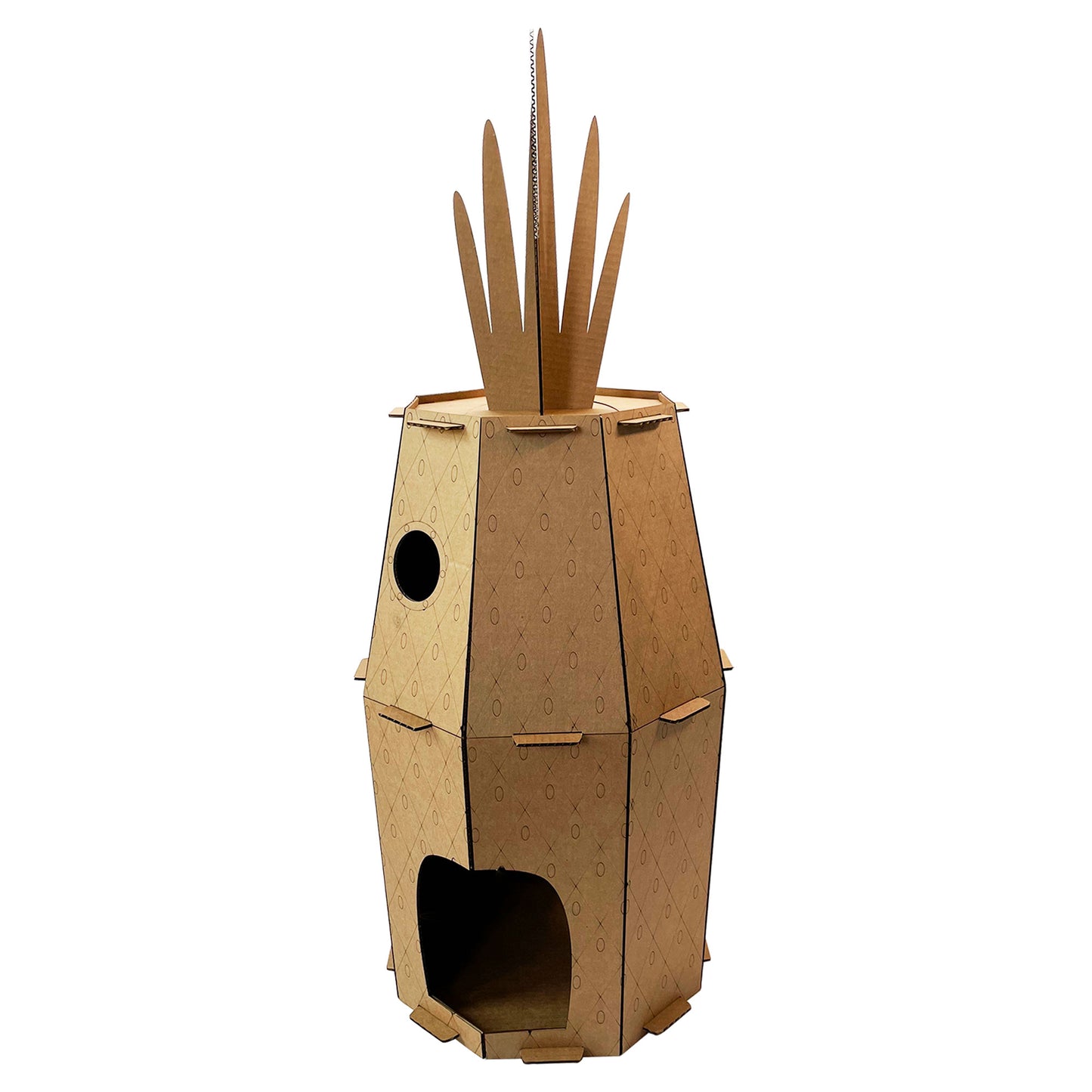 Pineapple Cat House