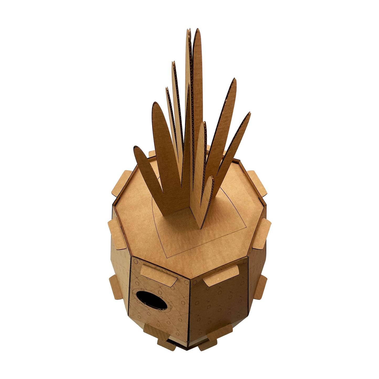 Pineapple Cat House
