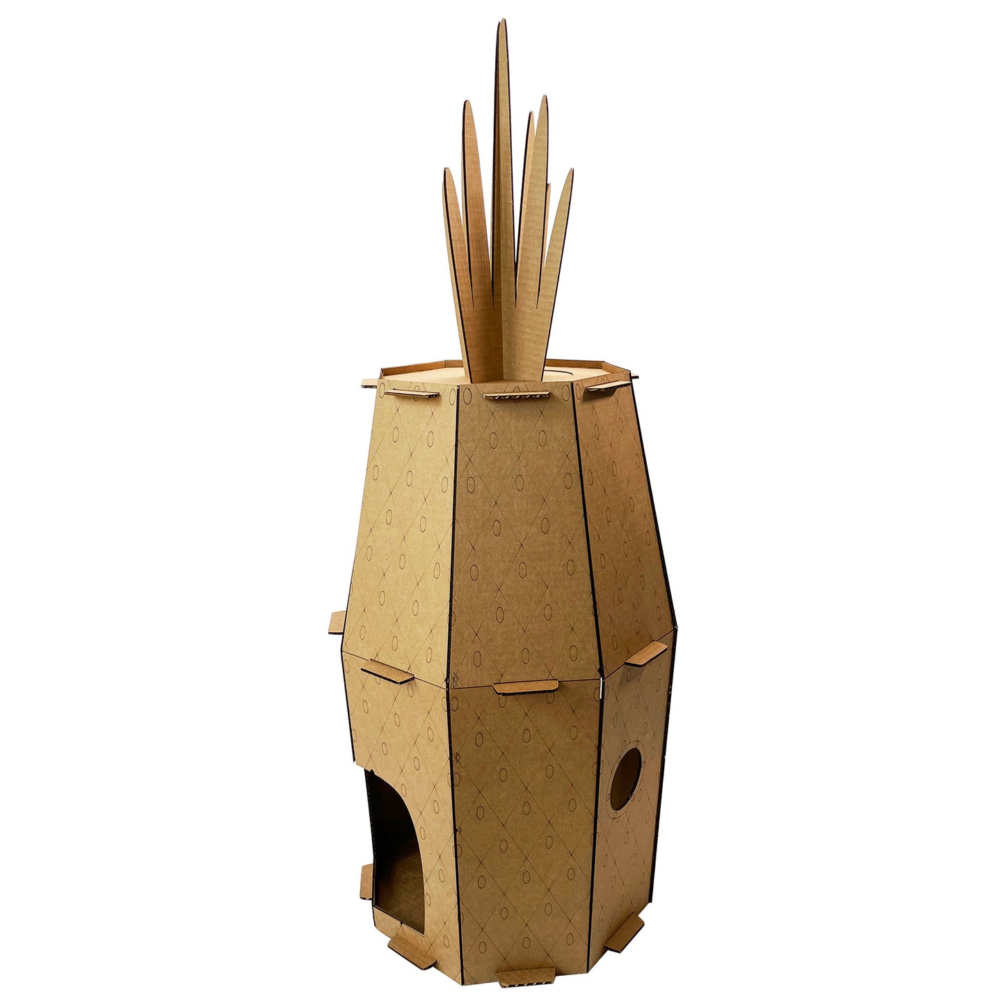 Pineapple Cat House
