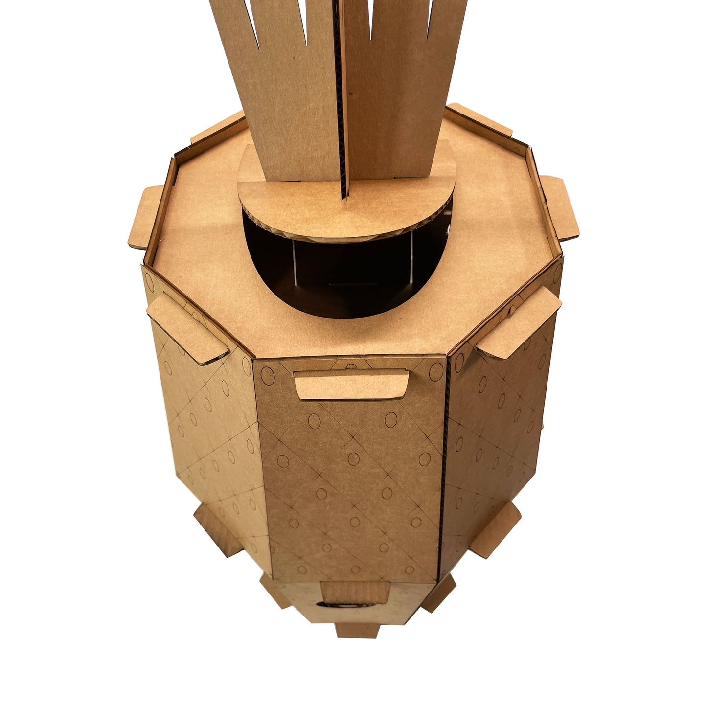 Pineapple Cat House