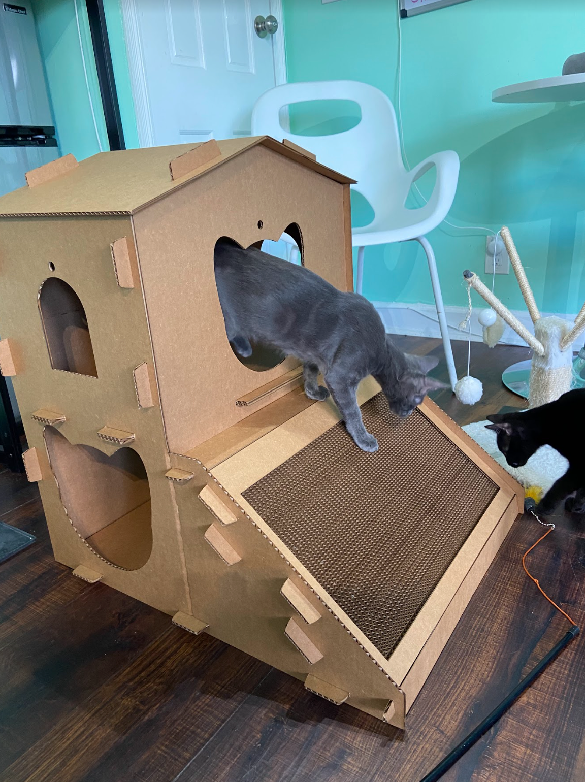 Cat Mansion