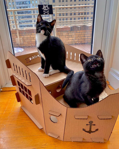 Kitty Pirate Ship