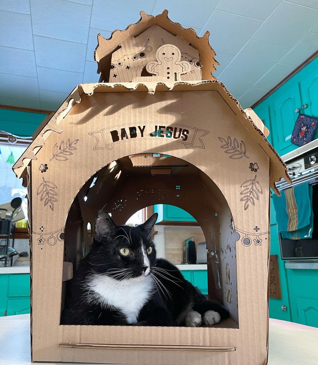 Gingerbread Cat House