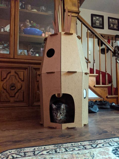 Pineapple Cat House