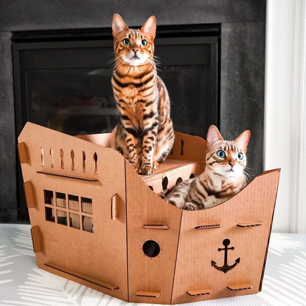 Kitty Pirate Ship