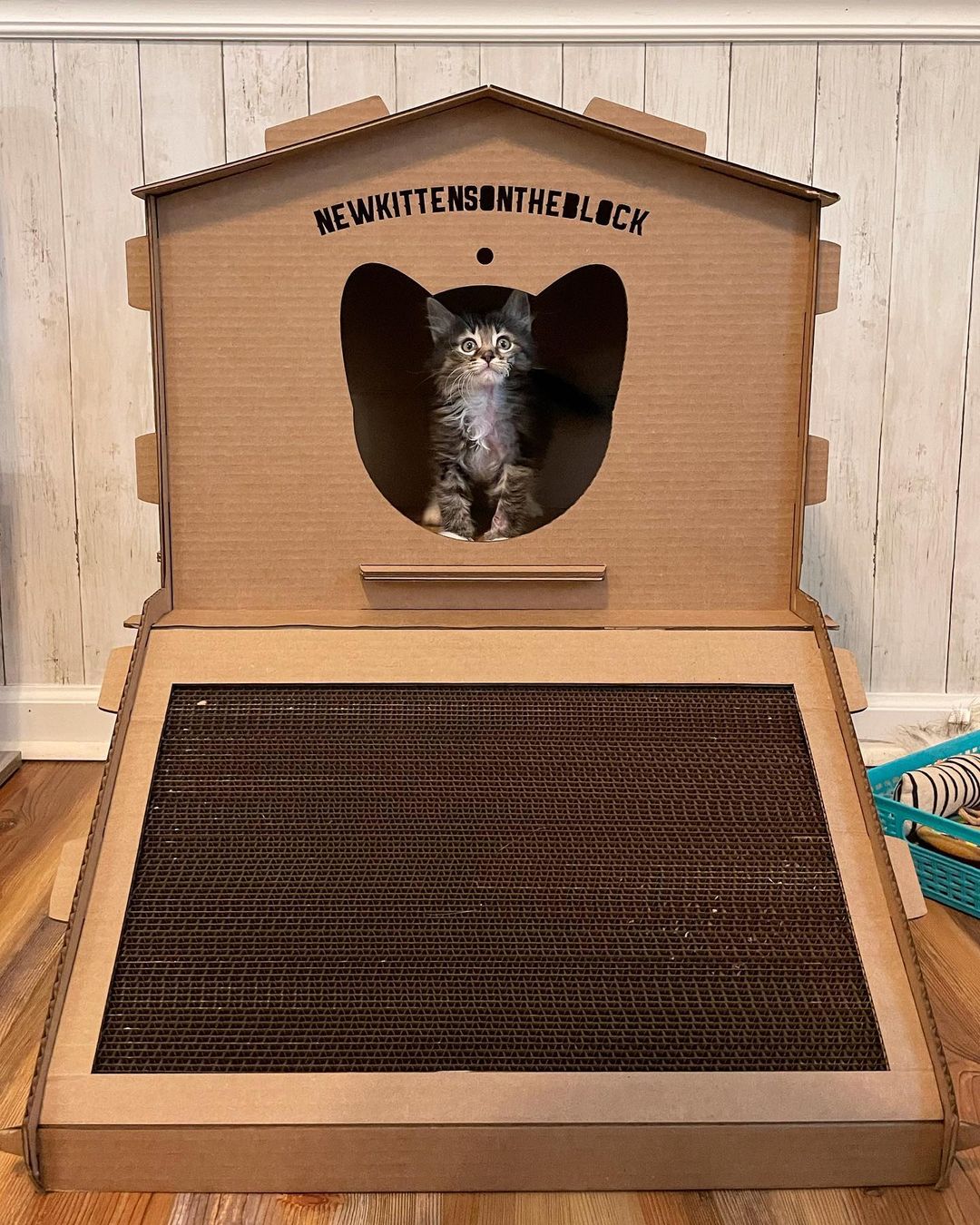 Cat Mansion