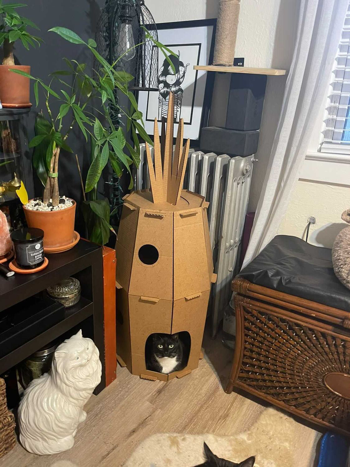 Pineapple Cat House