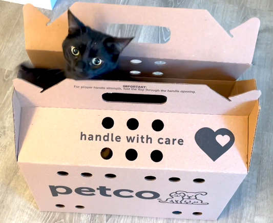 Petco Cat Carrier Review