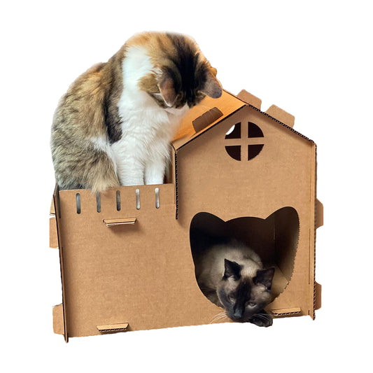 Kitty House