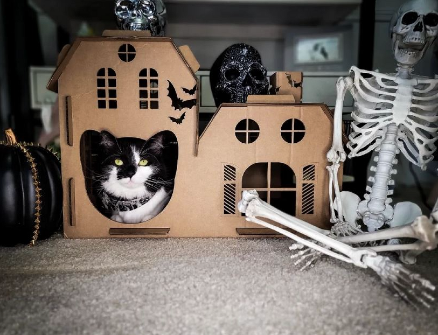 Kitty Haunted House