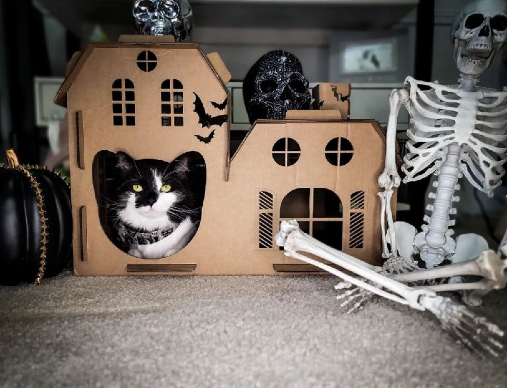 Halloween cardboard cat house best sale