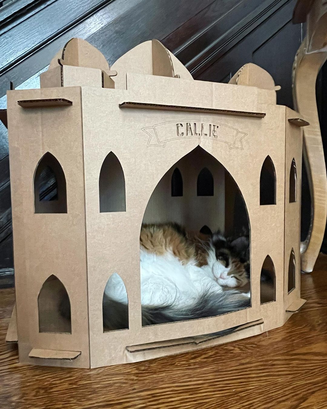 Taj Mahal Cat House