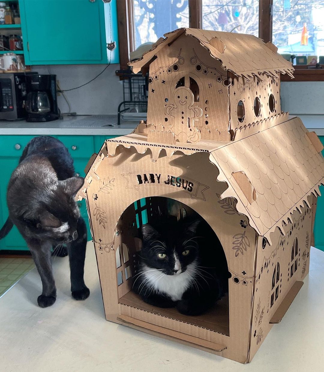 Gingerbread Cat House