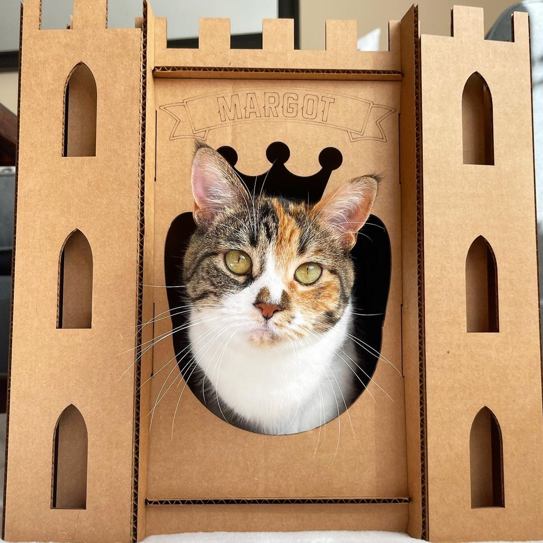 Cat Castle