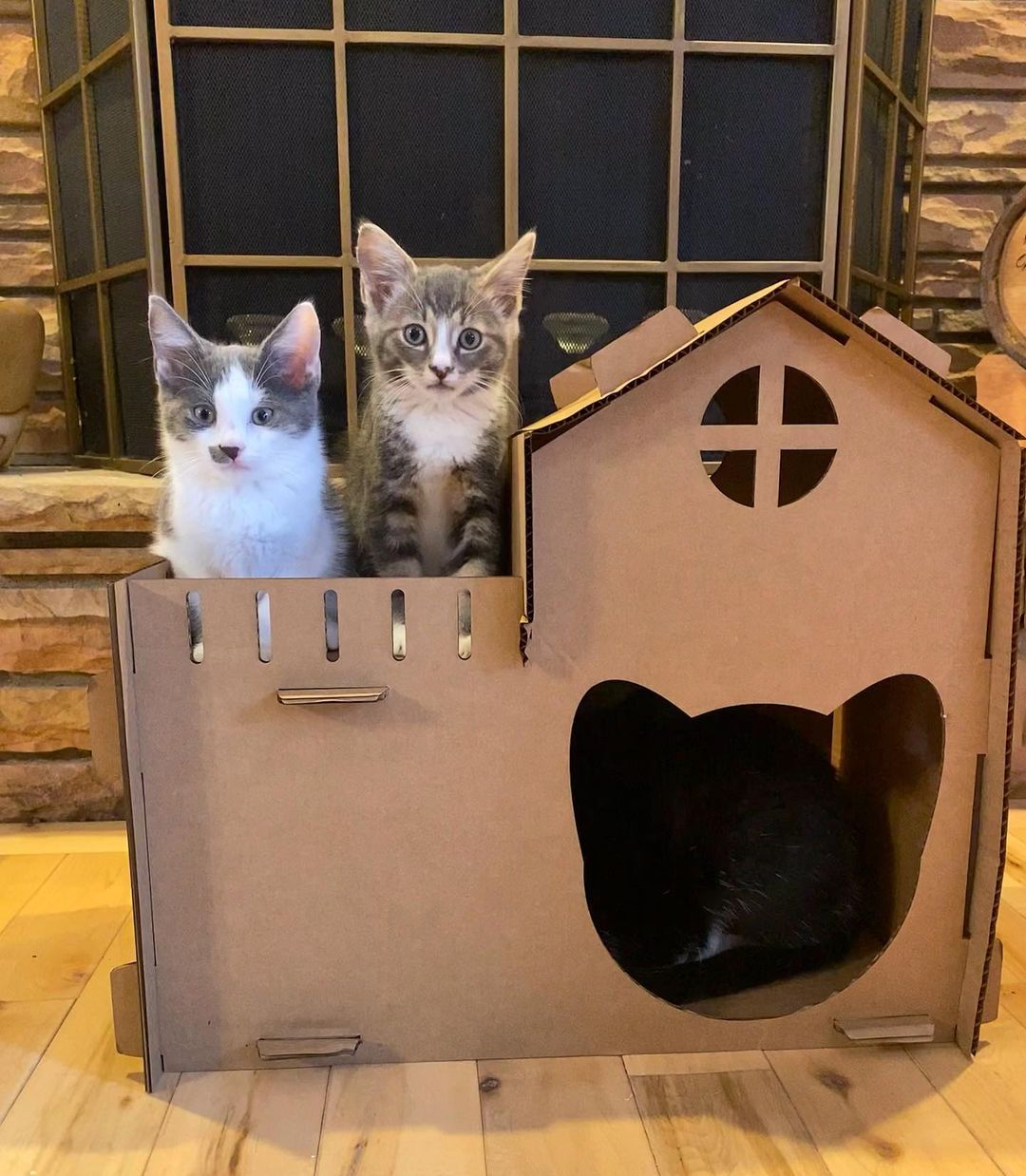 Cat house made of cardboard hotsell